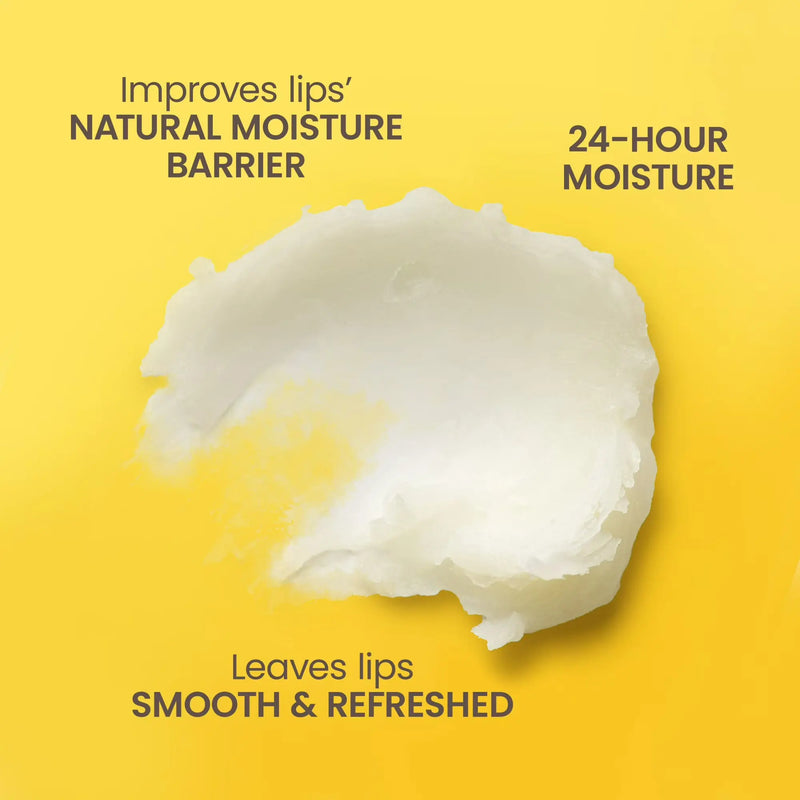 Burt's Bees Lip Balm Tropical Pineapple Blister