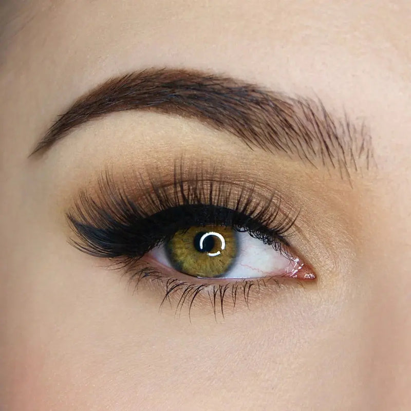 Sosu Cosmetics Hidden Agenda Lash Kit