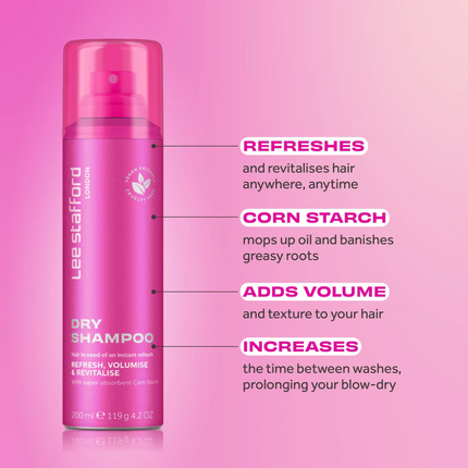 Lee Stafford Dry Shampoo Original