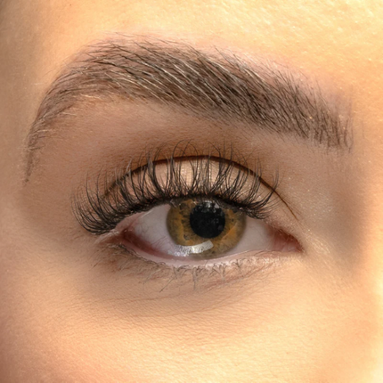 Lola's Lashes Classic Wispy XL Pre Mapped DIY Lashes